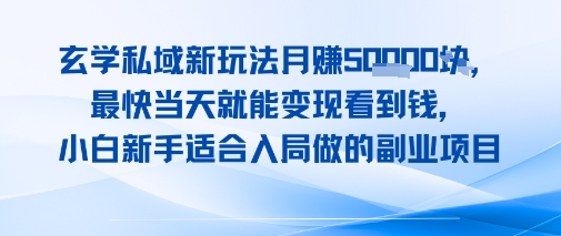 玄学私域新玩法月入1W+，最快当天就能变现看到米，小白新手适合入局做的副业项目网络赚钱,项目资源网,副业资源网,兼职项目,网赚课程-副业赚钱-互联网创业-独家轻创IP小蜜蜂网创