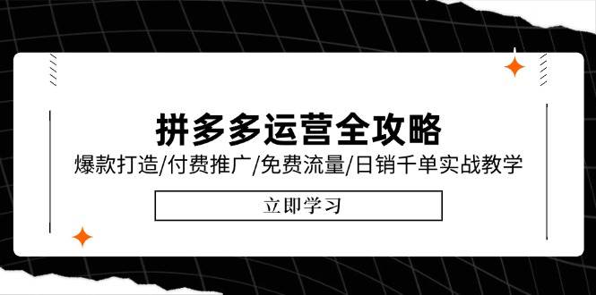 （15085期）拼多多运营全攻略，爆款打造/付费推广/免费流量/日销千单实战教学/6月更新网络赚钱,项目资源网,副业资源网,兼职项目,网赚课程-副业赚钱-互联网创业-独家轻创IP小蜜蜂网创