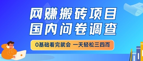 网创搬砖项目，国内问卷调查，小白轻松上手，一天三四张的也不难，干就完了【揭秘】网络赚钱,项目资源网,副业资源网,兼职项目,网赚课程-副业赚钱-互联网创业-独家轻创IP小蜜蜂网创