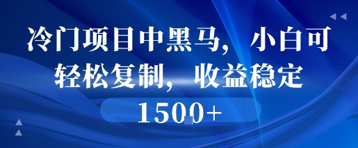 冷门项目中黑马，小白可轻松复制，收益稳定1.5k网络赚钱,项目资源网,副业资源网,兼职项目,网赚课程-副业赚钱-互联网创业-独家轻创IP小蜜蜂网创