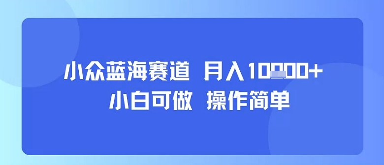小众蓝海赛道，小白可做，操作简单，每天30分钟，月入1W+网络赚钱,项目资源网,副业资源网,兼职项目,网赚课程-副业赚钱-互联网创业-独家轻创IP小蜜蜂网创