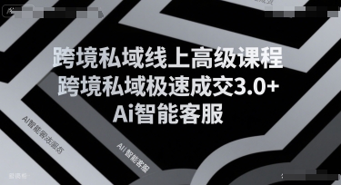 跨境私域线上高级课程，跨境私域极速成交3.0+Ai智能客服网络赚钱,项目资源网,副业资源网,兼职项目,网赚课程-副业赚钱-互联网创业-独家轻创IP小蜜蜂网创