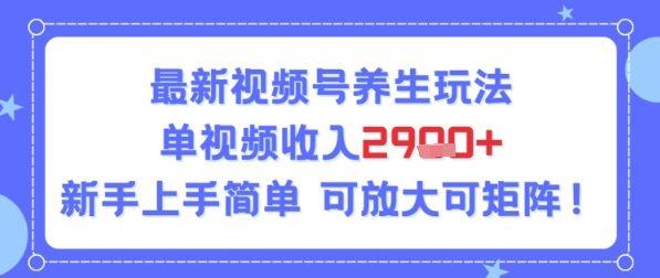 视频号养生玩法，单视频收入2.9k，新手上手简单网络赚钱,项目资源网,副业资源网,兼职项目,网赚课程-副业赚钱-互联网创业-独家轻创IP小蜜蜂网创