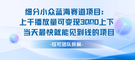 小众蓝海赛道项目：当天变现1k+适合新手操作 +适合长期玩网络赚钱,项目资源网,副业资源网,兼职项目,网赚课程-副业赚钱-互联网创业-独家轻创IP小蜜蜂网创